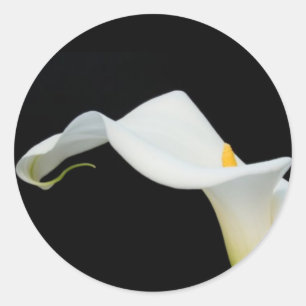 Rond Sticker Calla Lily/Sceau