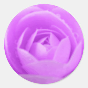 Rond Sticker Camellia Violet
