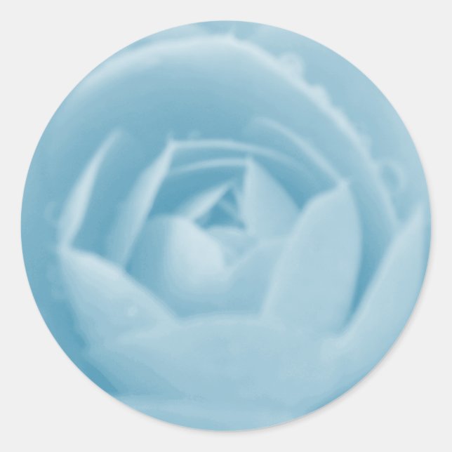 Rond Sticker Camellia Whirlpool (Devant)