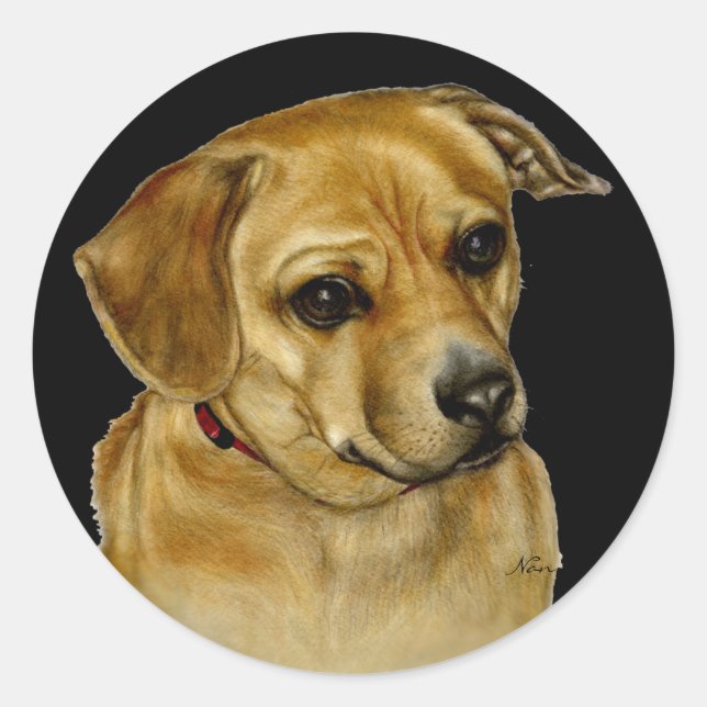 Rond Sticker carlin Dachsy (Devant)