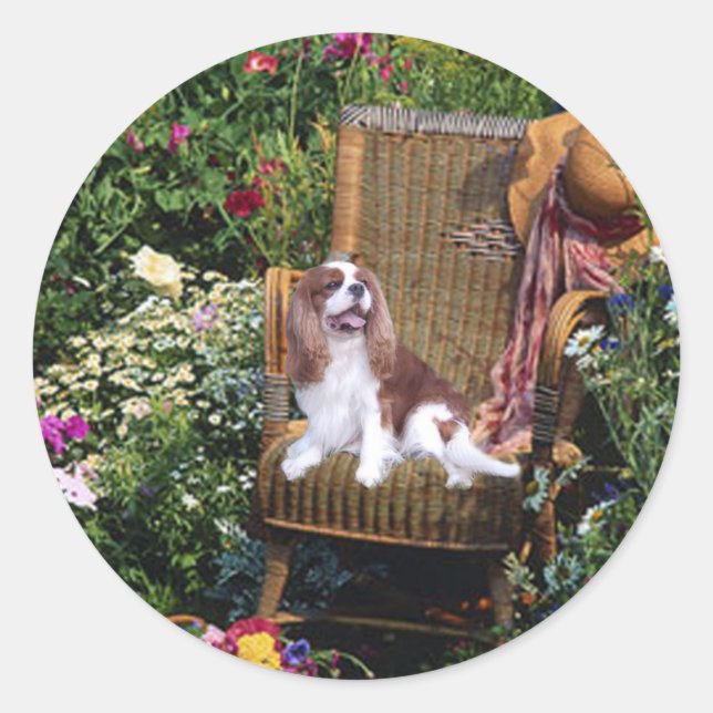 Rond Sticker Cavalier King Charles Spaniel (Devant)