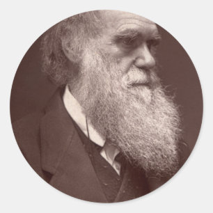 Rond Sticker Charles Darwin