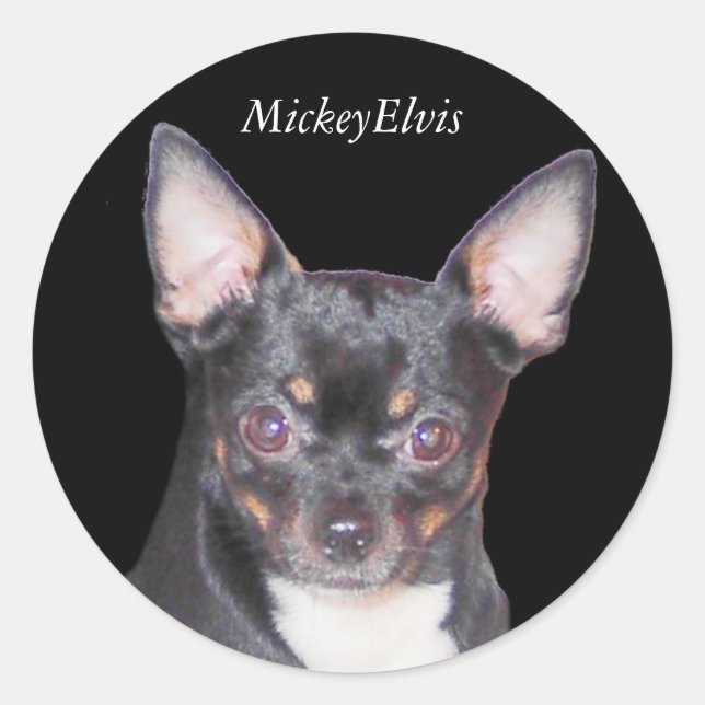 Rond Sticker Chihuahua MickeyElvis (Devant)