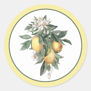 Rond Sticker classique ronde aux fruits de citron