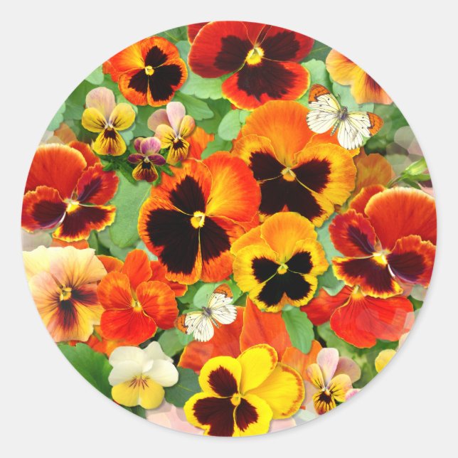 Rond Sticker Coeur Pansies de coucher de soleil (Devant)