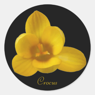 Rond Sticker crocus jaune personnalisable