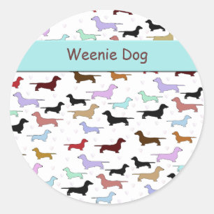 Rond Sticker Dachshund coloré