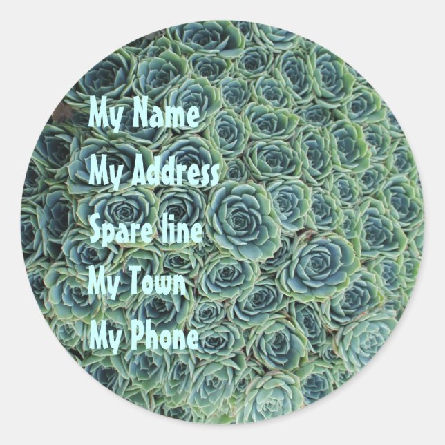 Rond Sticker d'adresse avec Fleurs de cactus (Devant)
