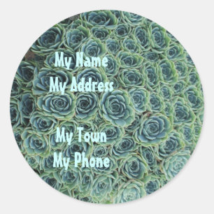 Rond Sticker d'adresse avec Fleurs de cactus