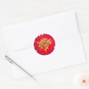 Rond Sticker Dahlia Rouge Et Jaune Flamme