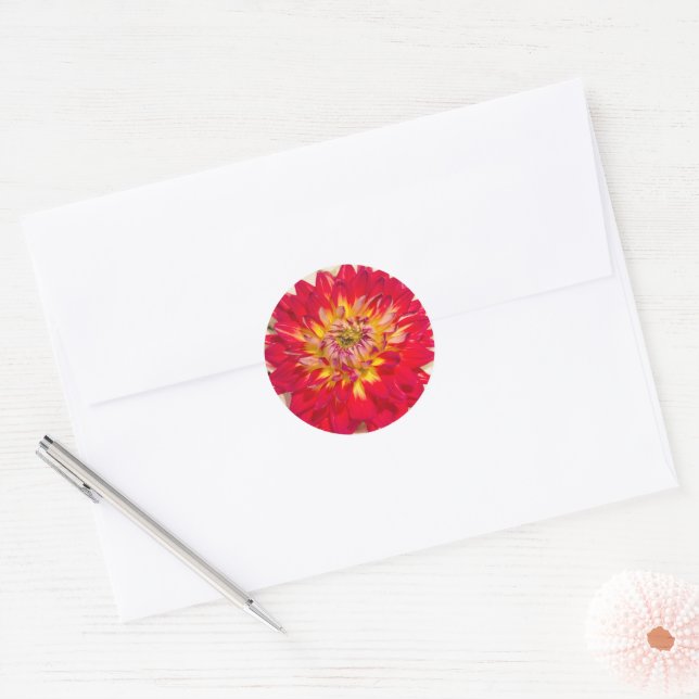 Rond Sticker Dahlia Rouge Et Jaune Flamme (Enveloppe)
