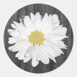 Rond Sticker Daisy & Barnwood