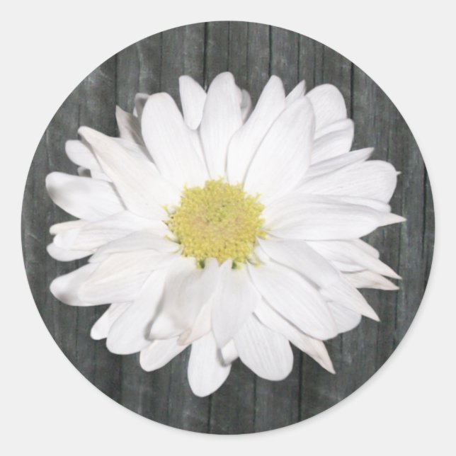 Rond Sticker Daisy & Barnwood (Devant)