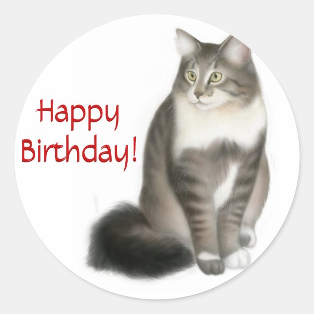Rond Sticker d'anniversaire du chat-coon du Maine (Devant)