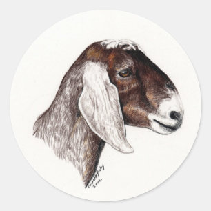 Rond Sticker d'art chèvre nubien