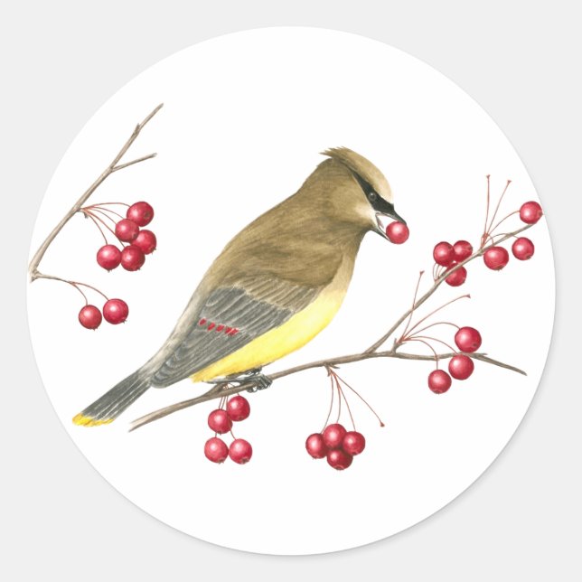 Rond Sticker d'art pour oiseaux en cèdre (Devant)