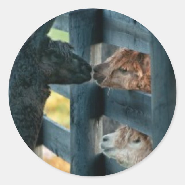 Rond Sticker de baisers Alpaca (Devant)