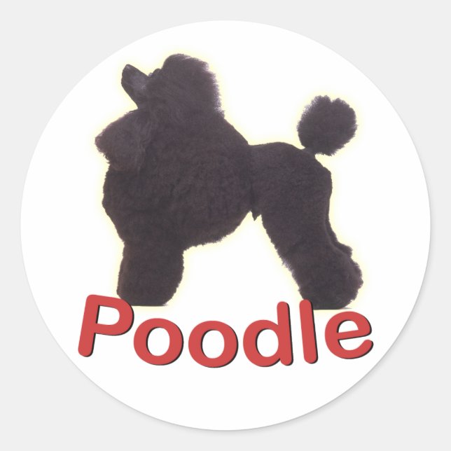 Rond Sticker de caniche noir Berceau (Devant)
