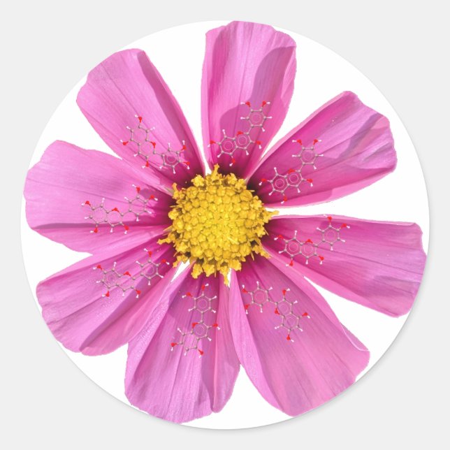 Rond Sticker de chimie des fleurs (Devant)