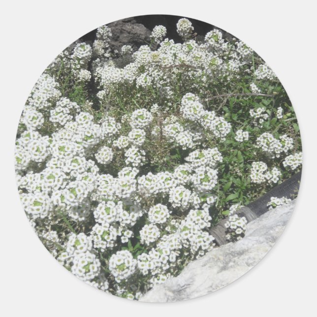 Rond Sticker de couverture au sol blanc (Devant)