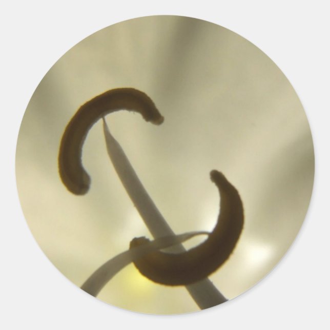 Rond Sticker de détails de fleurs blanches (Devant)