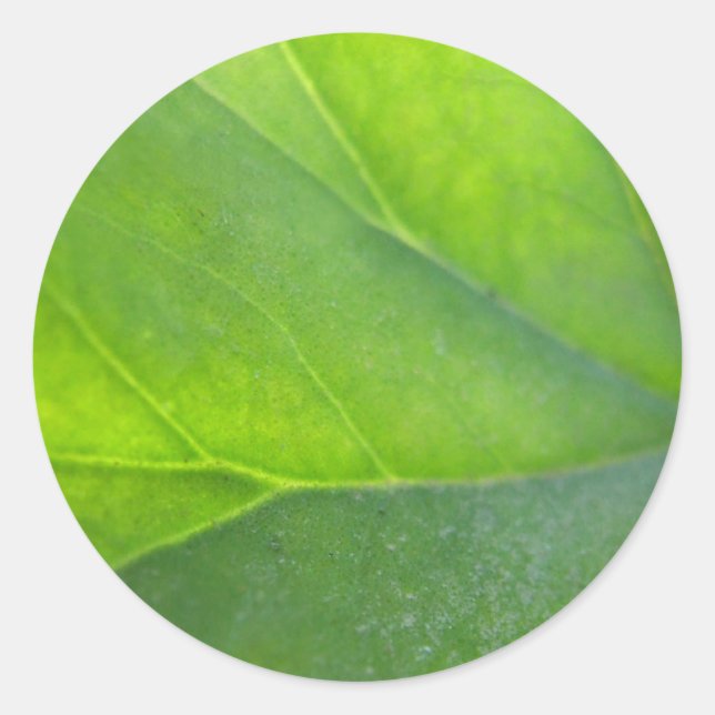 Rond Sticker de fermeture feuille (Devant)