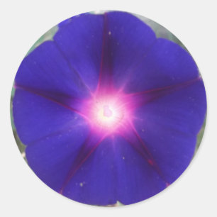 Rond Sticker de gloire du matin sombre
