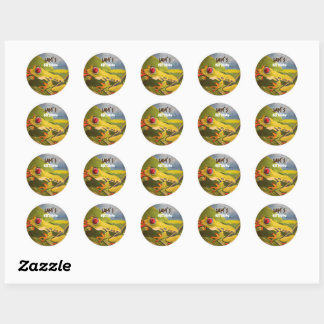 Rond Sticker de grenouille d'anniversaire personnalisé 