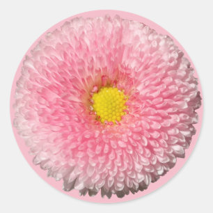 Rond Sticker de marguerite