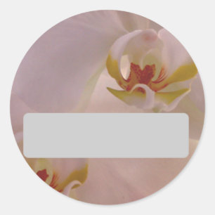 Rond Sticker de nom d'orchidée