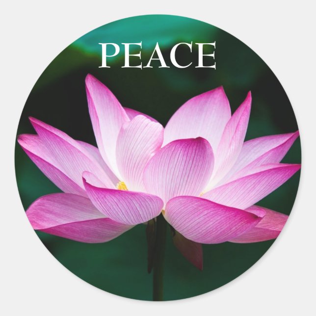 Rond Sticker de paix en Lotus rose Zen Texte personnali (Devant)