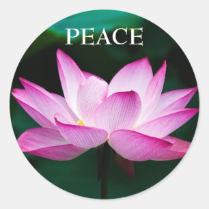 Rond Sticker de paix en Lotus rose Zen Texte personnali