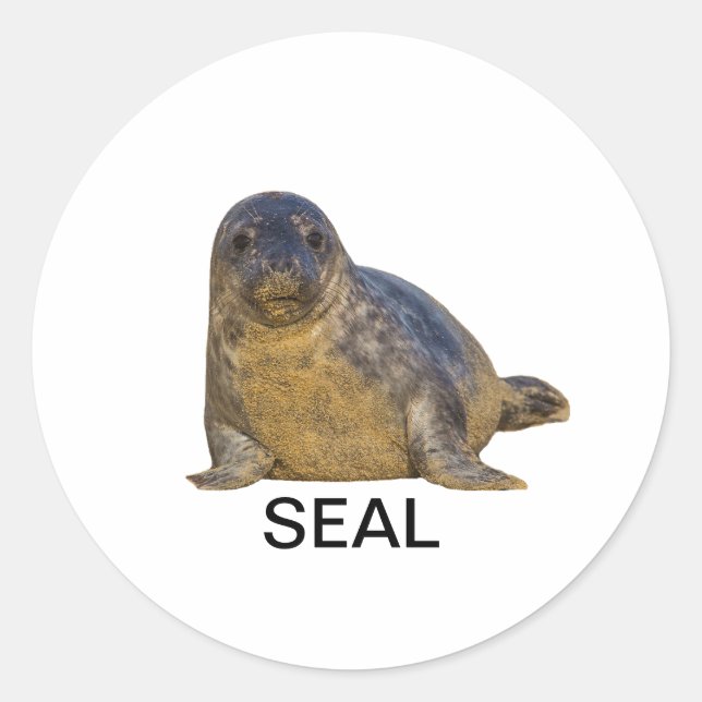Rond Sticker de phoque 02 (Devant)