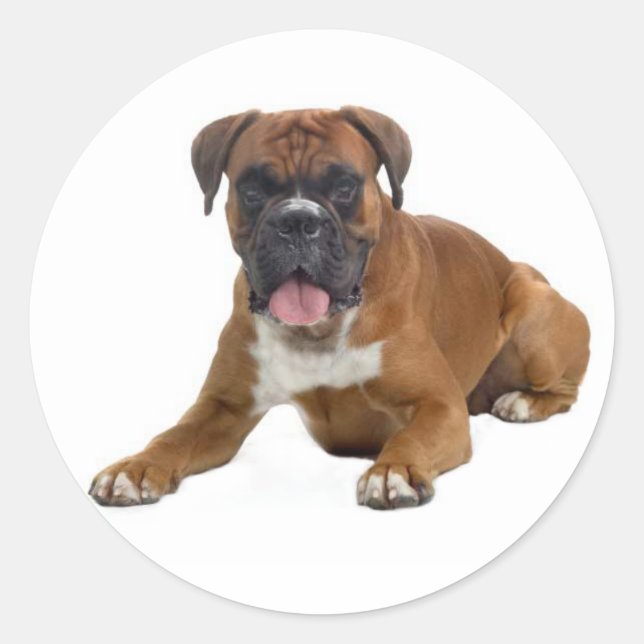 Rond Sticker de salutation de Chien Chien Cochon Love (Devant)