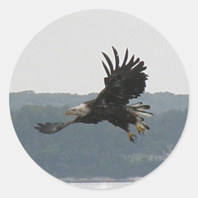 Rond Sticker de vol Eagle (Devant)