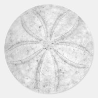 Sticker Dollar De Sable