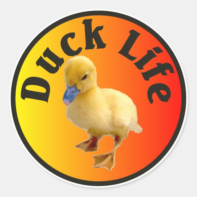 Rond Sticker Duck Life (Devant)