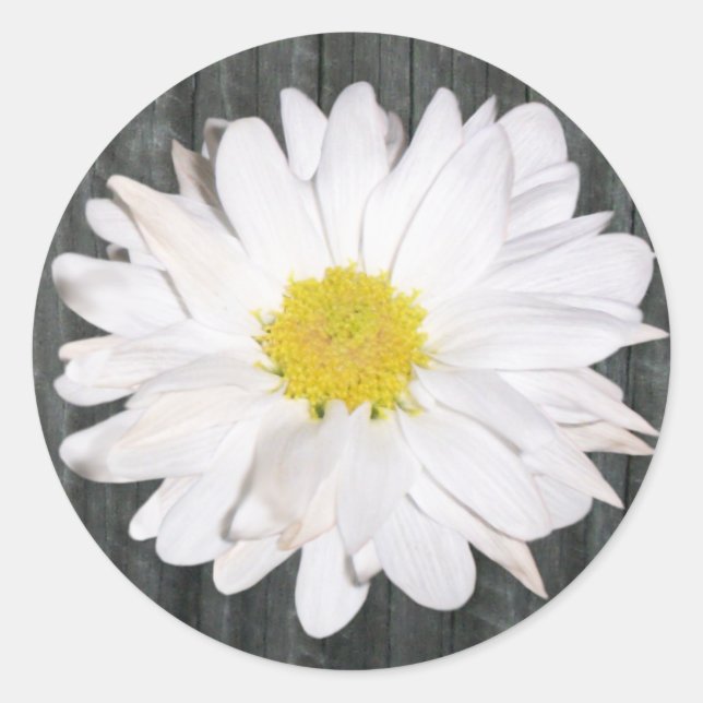 Rond Sticker en bois d'écorce et marguerite (Devant)
