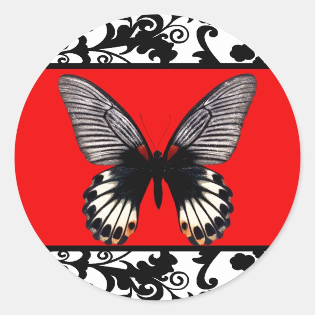 Rond Sticker en damas et Papillon noir et blanc (Devant)