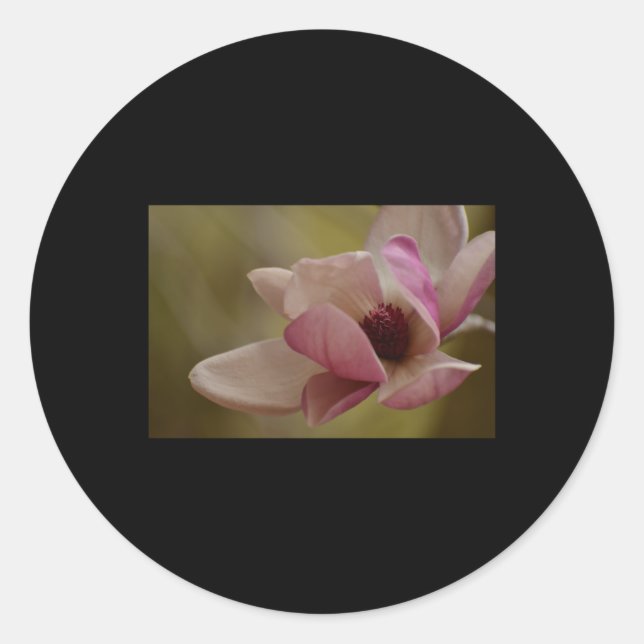 Rond Sticker en floraison de Rêves rose doux (Devant)