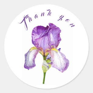 Rond Sticker en Merci d'art botanique Iris violet clair