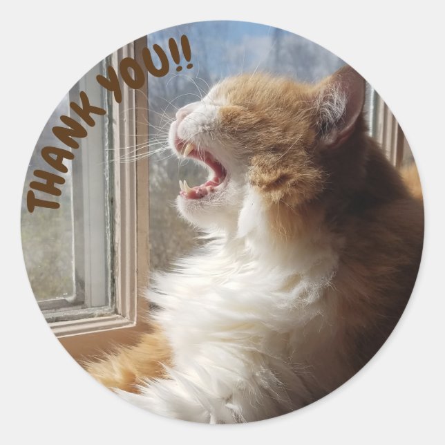 Rond Sticker en Merci de chat Diego (Devant)