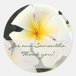 Rond Sticker en Merci de fleurs Plumeria blanc