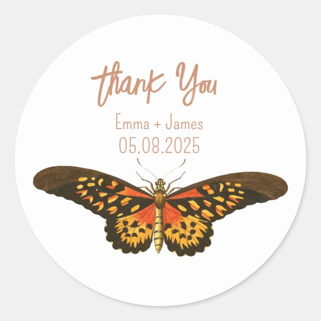 Rond Sticker en Merci papillon vintage (Devant)