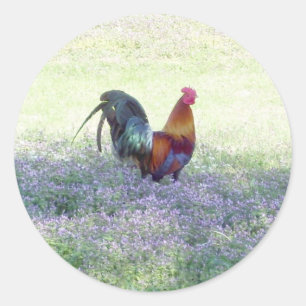 Rond Sticker Fierté en plumes