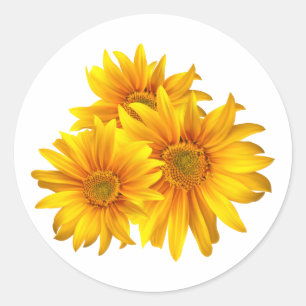 Rond Sticker floral de tournesol jaune / Sceau