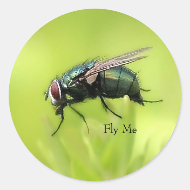 Rond Sticker Fly Me (Devant)