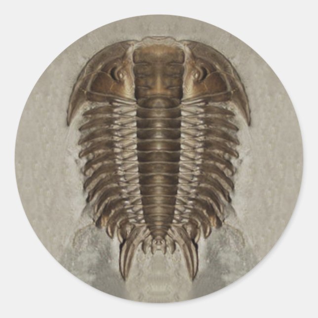 Rond Sticker Fossil Trilobite (Devant)