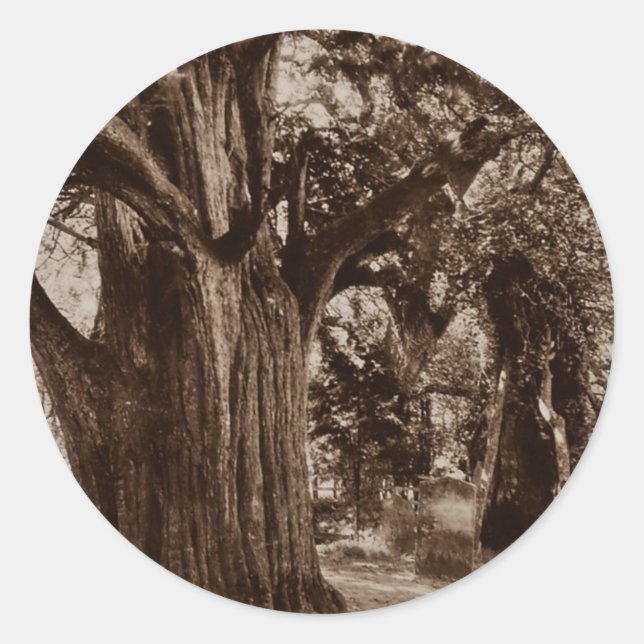 Rond Sticker Généalogie Churchill Old Yew Arbre Pierres (Devant)