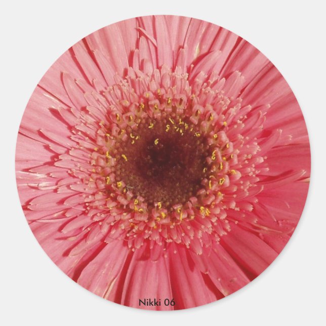 Rond Sticker Gerbera Daisy (Devant)